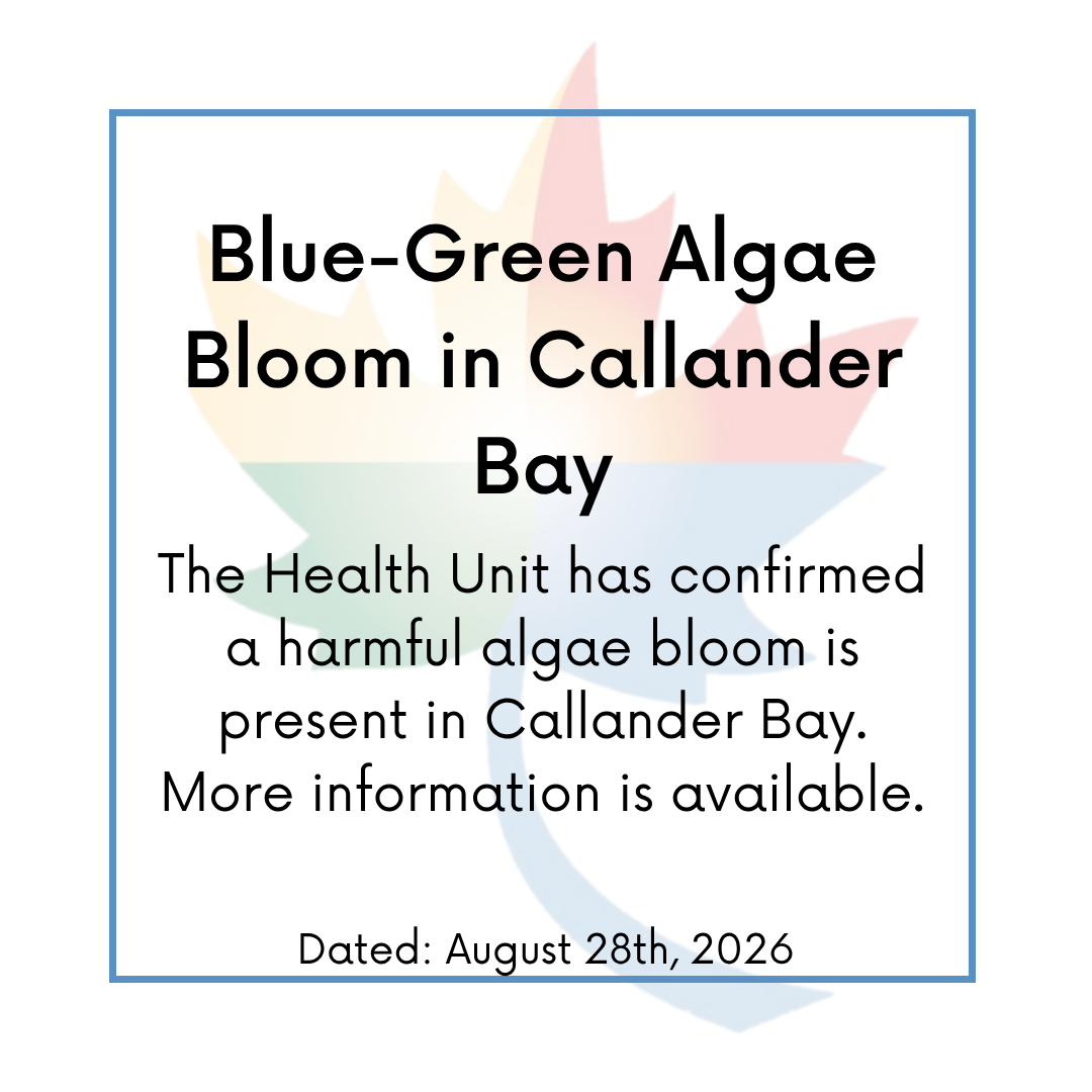 Blue Green Algae Bloom Confirmed